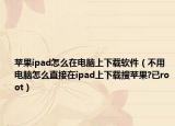 苹果ipad怎么在电脑上下载软件（不用电脑怎么直接在ipad上下载搜苹果?已root）