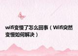 wifi变慢了怎么回事（Wifi突然变慢如何解决）