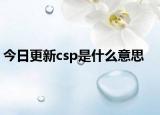 今日更新csp是什么意思
