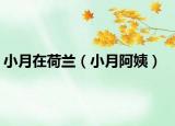 小月在荷兰（小月阿姨）