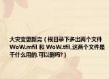 大灾变更新完（根目录下多出两个文件 WoW.mfil 和 WoW.tfil,这两个文件是干什么用的,可以删吗?）