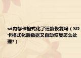 sd内存卡格式化了还能恢复吗（SD卡格式化后数据又自动恢复怎么处理?）