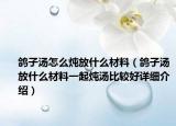 鸽子汤怎么炖放什么材料（鸽子汤放什么材料一起炖汤比较好详细介绍）