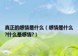 真正的感情是什么（感情是什么?什么是感情?）