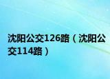 沈阳公交126路（沈阳公交114路）