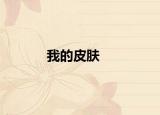 我的皮肤