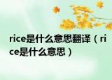 rice是什么意思翻译（rice是什么意思）