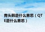 青头鹅是什么意思（QTE是什么意思）