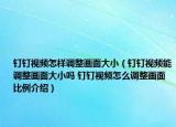 钉钉视频怎样调整画面大小（钉钉视频能调整画面大小吗 钉钉视频怎么调整画面比例介绍）