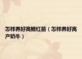 怎样养好高鳍红箭（怎样养好高产奶牛）