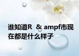 谁知道R  & ampf市现在都是什么样子