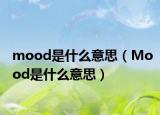 mood是什么意思（Mood是什么意思）