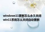 windows11更新怎么永久关闭 win11系统怎么关闭自动更新