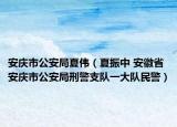 安庆市公安局夏伟（夏振中 安徽省安庆市公安局刑警支队一大队民警）