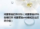 鸿蒙系统打开OTG（鸿蒙系统OTG在哪打开 鸿蒙系统otG模式怎么打开介绍）