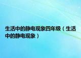 生活中的静电现象四年级（生活中的静电现象）