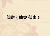 仙逆（仙妻 仙妻）