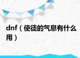 dnf（使徒的气息有什么用）