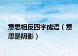 意思相反四字成语（意思是阴影）