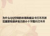 为什么QQ空间的农场和魔法卡打不开浏览器里有很多地方的小十字图片打不开