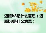 迈腾b8是什么意思（迈腾b8是什么意思）