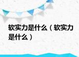 软实力是什么（软实力是什么）