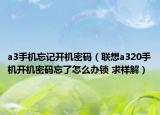 a3手机忘记开机密码（联想a320手机开机密码忘了怎么办锁 求祥解）