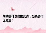 切嗣是什么时候死的（切嗣是什么意思）
