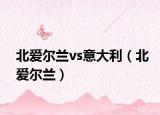 北爱尔兰vs意大利（北爱尔兰）