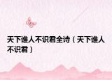 天下谁人不识君全诗（天下谁人不识君）