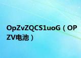 OpZvZQCS1uoG（OPZV电池）