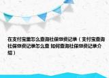 在支付宝里怎么查询社保缴费记录（支付宝查询社保缴费记录怎么查 如何查询社保缴费记录介绍）