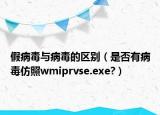 假病毒与病毒的区别（是否有病毒仿照wmiprvse.exe?）