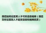 微信如何设置某人不可发语音视频（微信怎样设置别人不能发语音和视频优质）