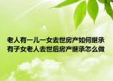 老人有一儿一女去世房产如何继承有子女老人去世后房产继承怎么做