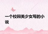 一个校园美少女写的小说