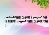 pedm10是什么手机（pegm10是什么型号 pegm10是什么手机介绍）