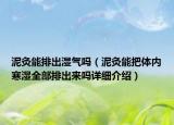 泥灸能排出湿气吗（泥灸能把体内寒湿全部排出来吗详细介绍）