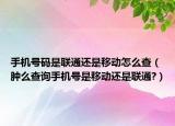 手机号码是联通还是移动怎么查（肿么查询手机号是移动还是联通?）
