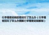 行李箱密码锁的密码忘了怎么办（行李箱密码忘了怎么办图解行李箱密码锁解锁）