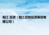 阳江 投资（阳江百姓投资策划有限公司）