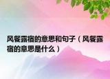 风餐露宿的意思和句子（风餐露宿的意思是什么）