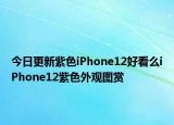今日更新紫色iPhone12好看么iPhone12紫色外观图赏