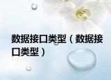 数据接口类型（数据接口类型）