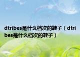 dtribes是什么档次的鞋子（dtribes是什么档次的鞋子）