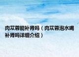 肉苁蓉能补肾吗（肉苁蓉泡水喝补肾吗详细介绍）