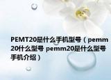PEMT20是什么手机型号（pemm20什么型号 pemm20是什么型号手机介绍）