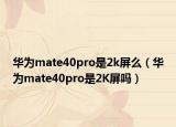 华为mate40pro是2k屏么（华为mate40pro是2K屏吗）