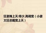 狂妻拽上天:帝少,高调宠（小妻太狂总裁宠上天）