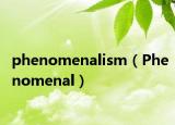 phenomenalism（Phenomenal）